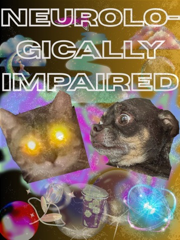 Welcome to our Podcast